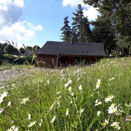 Chalet Bois En Pleine Nature