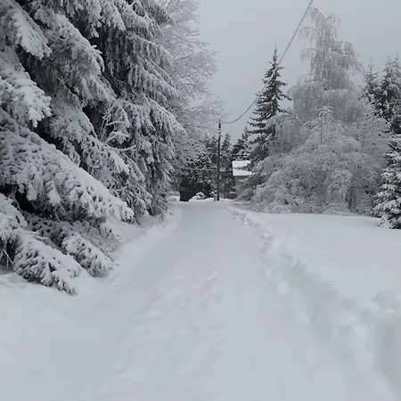 Bois En Pleine Nature Chalet