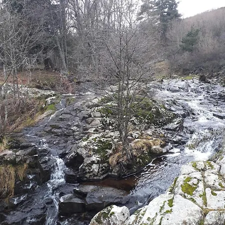 Chalet Bois En Pleine Nature *