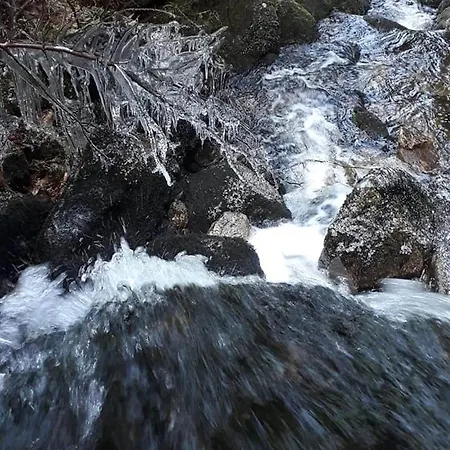 Chalet Bois En Pleine Nature